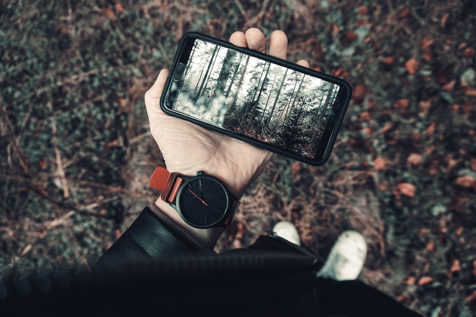 A person outdoors holding a smartphone showing a forest scene, wearing a wristwatch.