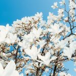 7 Spring Weekend Getaway Outfits That Pack Light