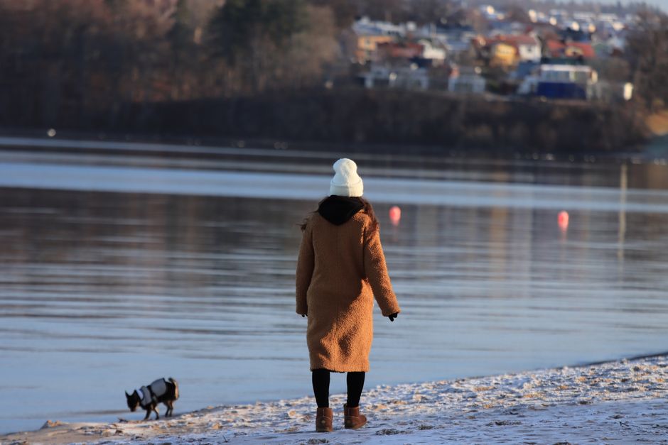 Winter Boots For Icy Conditions: The Winter Boots Problem: How to Stay Upright on Ice in 2026 Winter Boots For Icy Conditions: The Winter Boots Problem: How to Stay Upright on Ice in 2026